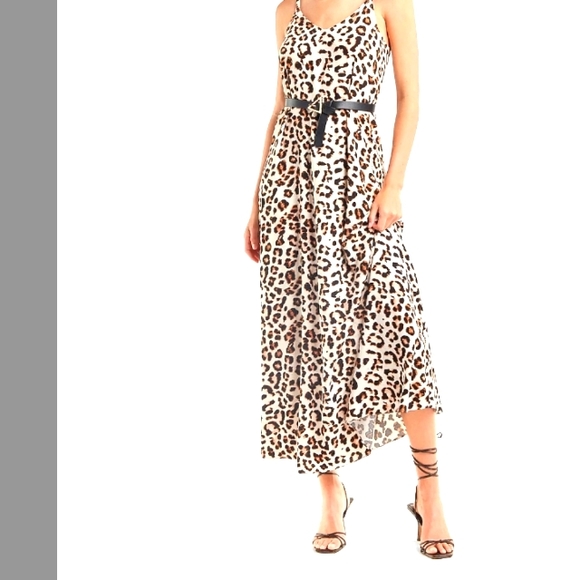 Express Leopard Print V-Neck Maxi Dress Size Small - Picture 1 of 7